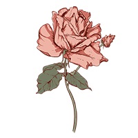 June-Rose