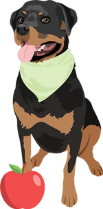 Rottweiler