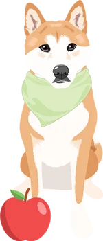 Shiba inu 1