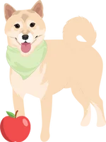 Shiba inu 2