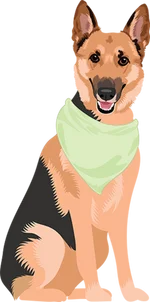 German shepherd 2