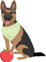 German shepherd 4