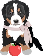 Bernese Mountain Dog 1