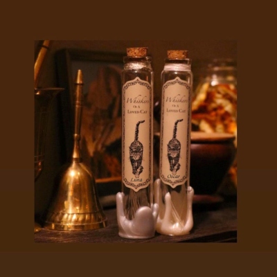 WHISKERS of a LOVED CAT Glass Holder (pet memorial, keepsake, old timey, altar, urn, handmade)