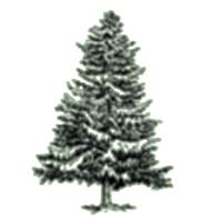 Symbol 10