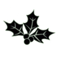 Symbol 11