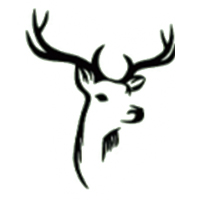 Symbol 12