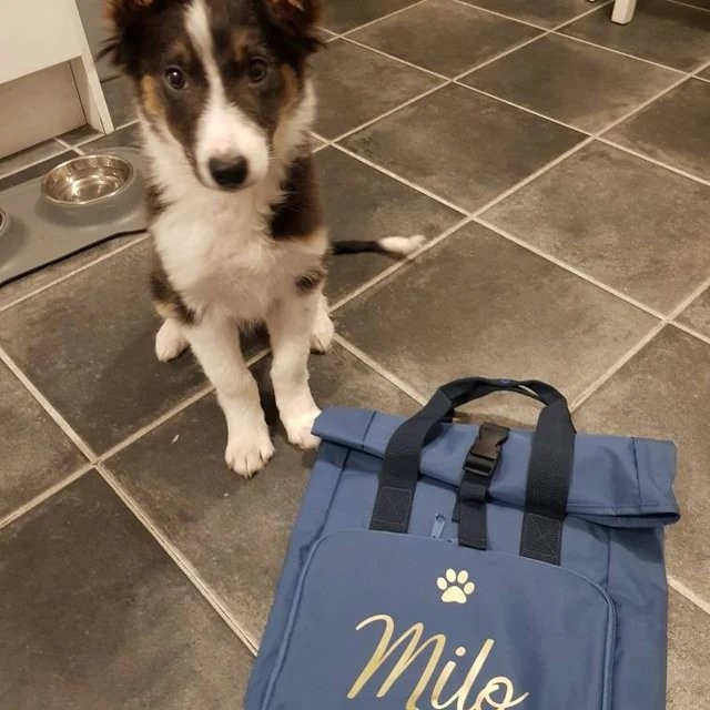Personalised Doggie Roll,Top Bag , Doggie Bag , Daycare Bag , Paw Bag , Dog Bag , Personalised Bag , Backpack , Rucksack , Carry all