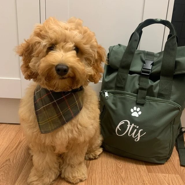 Personalised Doggie Roll,Top Bag , Doggie Bag , Daycare Bag , Paw Bag , Dog Bag , Personalised Bag , Backpack , Rucksack , Carry all