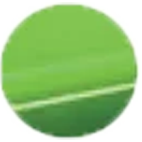 Annle Green