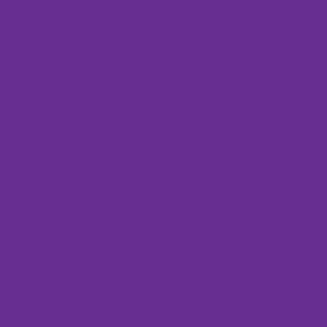 Color 24