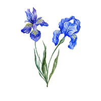 February