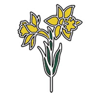 March-Daffodil