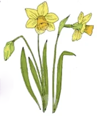 March