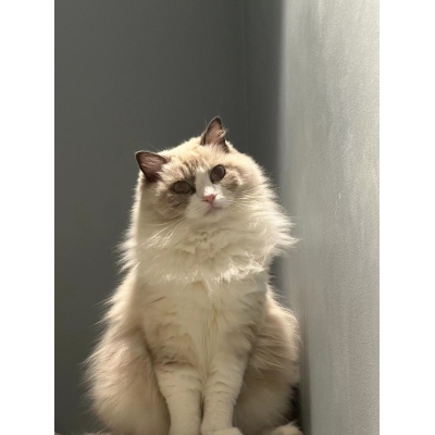 TEST-Pay for The Price Difference Only