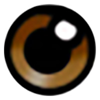 3-Brown