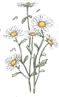 April