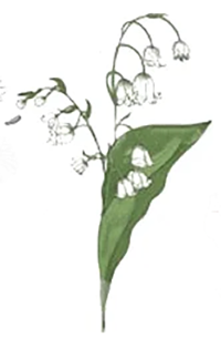 May
