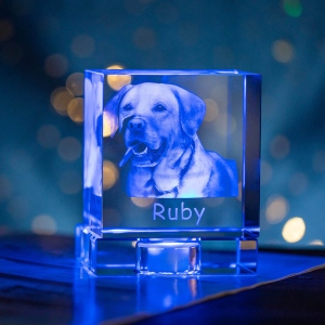 3D Photo Square Engraving Crystal