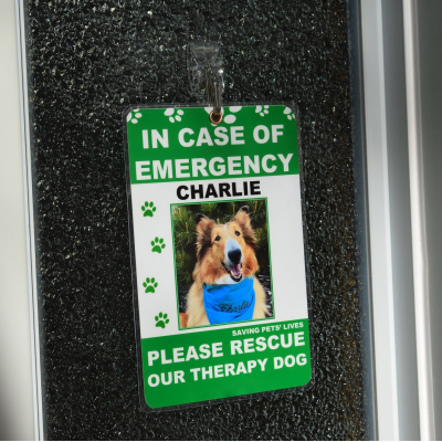 Personalised Pet Tag/Rescue Sign/Fur Kid/Fur Baby/Animal Family/Pet Alert/Pet Rescue/Save our Pets/Emergency Pet Rescue/Cat Rescue/