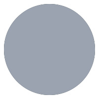 Silver/Gray