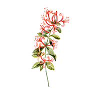 June