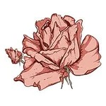 June-Rose