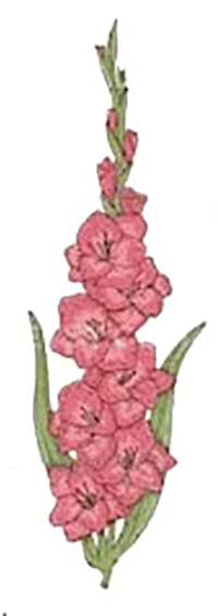 August