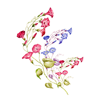 September