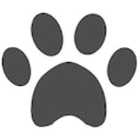 D104 Paw