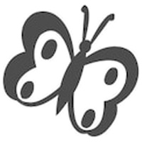 D58 Butterfly