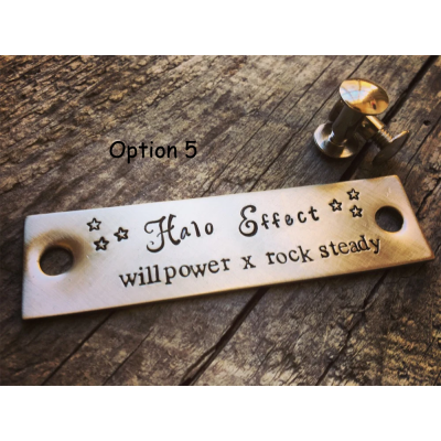 Personalized Horse Halter Nameplate – Custom Brass ID Tag, Equestrian Gift, Saddle Plate
