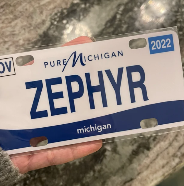 【Get $10 OFF on $60+ Order】Extra Mini Magnetic State License Plates, Refrigerator/Fridge Magnet, Little Electric Car License Plates for Kids, Travel Keepsakes, Gift for Couples