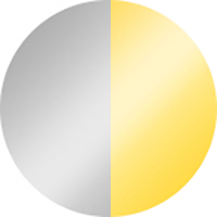 Yellow/Silver